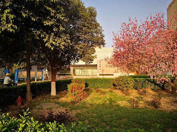 1590569692935611.jpeg b3055203aaba0530fc0adbdcbac0faf.jpg