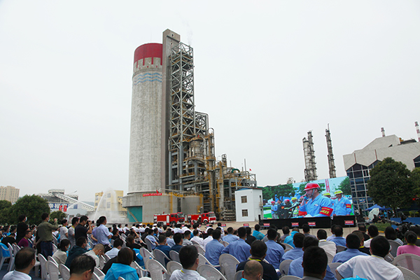 1592904307110688.jpeg 1592901934430226.jpeg