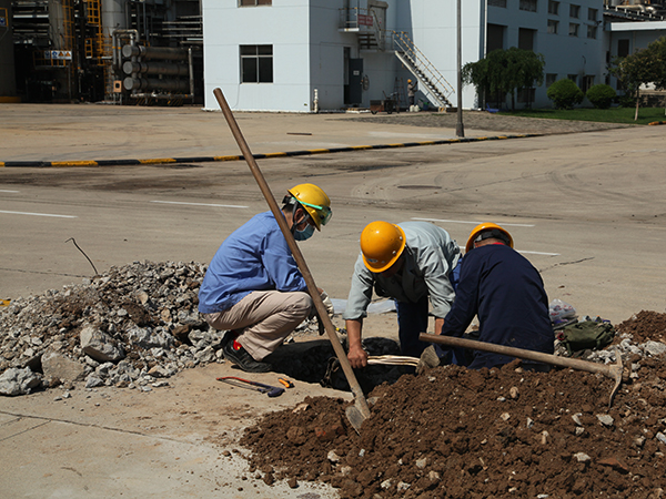 1594212841537298.jpeg IMG_0522.JPG