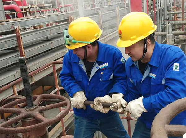 1605152606276971.jpeg 2.jpg