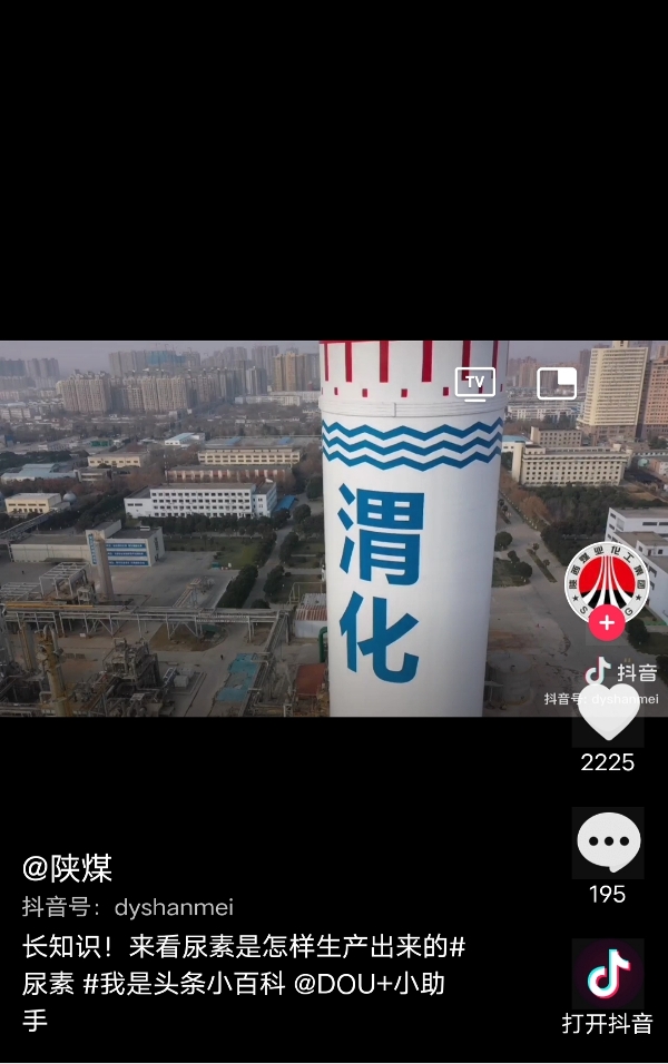 1612223923174265.jpeg 1612223923174265.jpeg