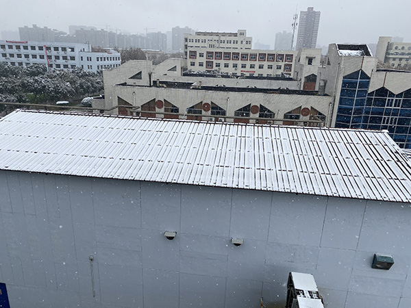 1616372586313495.jpeg 春來(lái).jpg