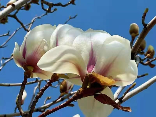 1616763761248967.jpeg 567ee968c8044478e282e15ad2f05d7.jpg