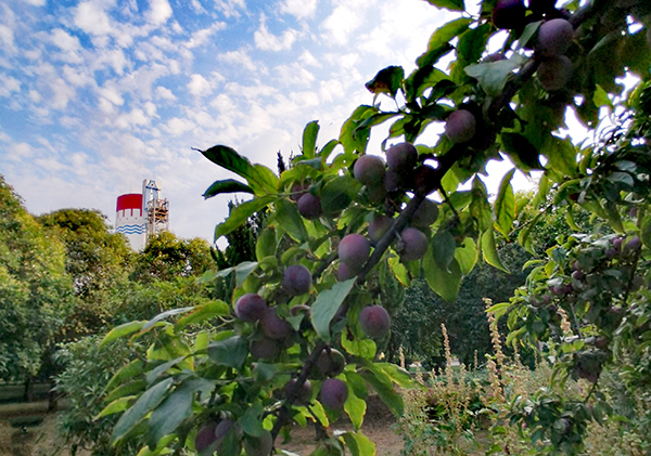 1624964952351967.jpeg 2 (2).jpg