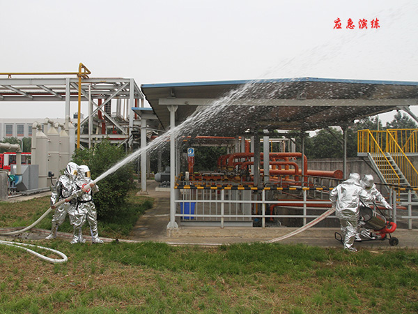 1635416916986580.jpeg IMG_3672_proc600.jpg