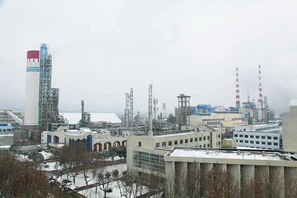 1642732669855465.jpeg IMG_1113.JPG