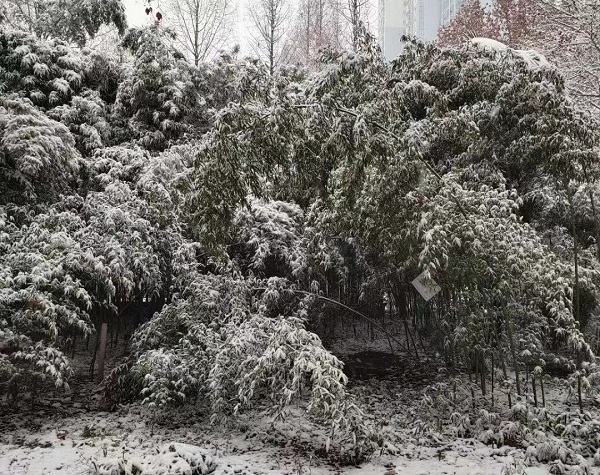 1644143485236493.jpeg 微信圖片_20220206182921.jpg