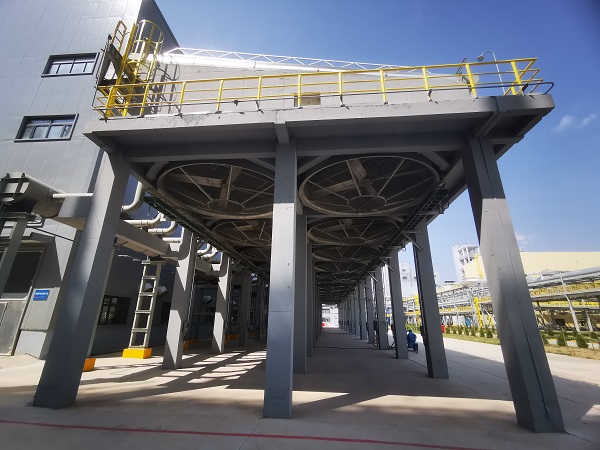 1653433437976356.jpeg 723974836270375327.jpg