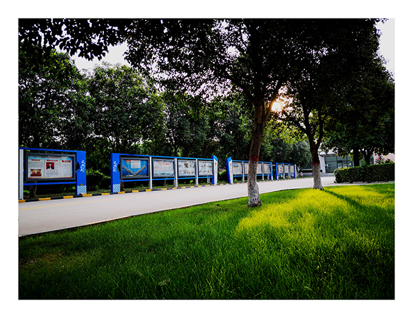 1654150080982233.jpeg IMG_20220602_090845.jpg