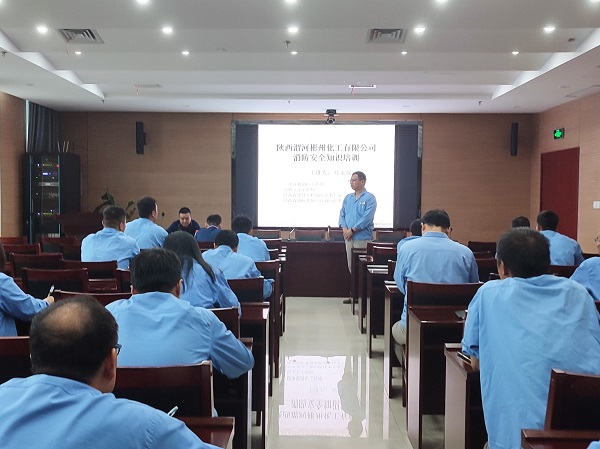 1658819297866304.jpeg mmexport1658545129142.jpg