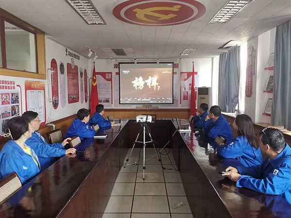 3月27日，實(shí)業(yè)公司黨支部組織黨員干部觀看榜樣7(副圖）.jpg