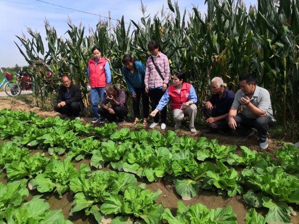 1681702461870918.jpeg 1664185577815713.jpeg