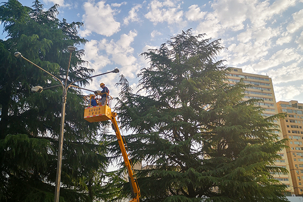 1688305834591763.jpeg 190d6972ff8881135ed2b0c59efe2f3 600.jpg