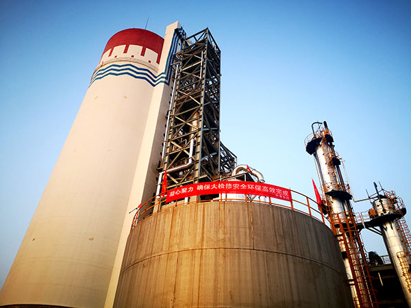 1696924286220425.jpeg IMG_20231010_114131 600.jpg