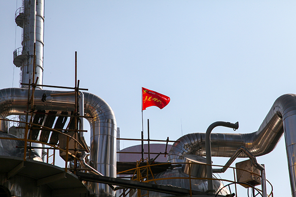 1698192039513117.jpeg IMG_1147 600.JPG