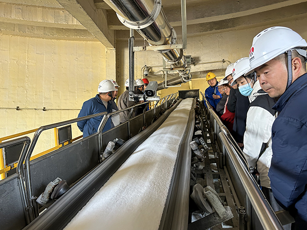 1700182453134069.jpeg 11月16日高新區(qū)所屬企業(yè)參觀尿素車(chē)間3.jpg