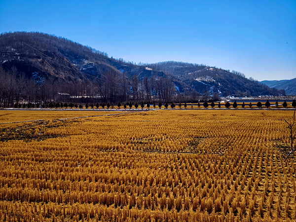 1708507000129198.jpeg 12.jpg