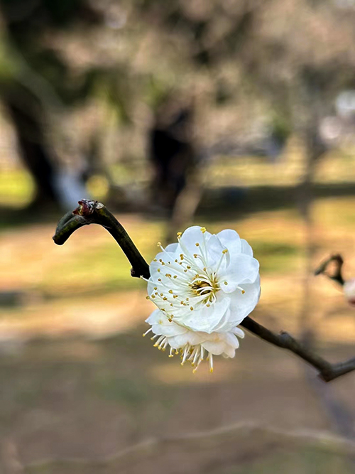 1709862497340762.jpeg 3c57f65fc5df87e3d2fd8aa0982780f.jpg