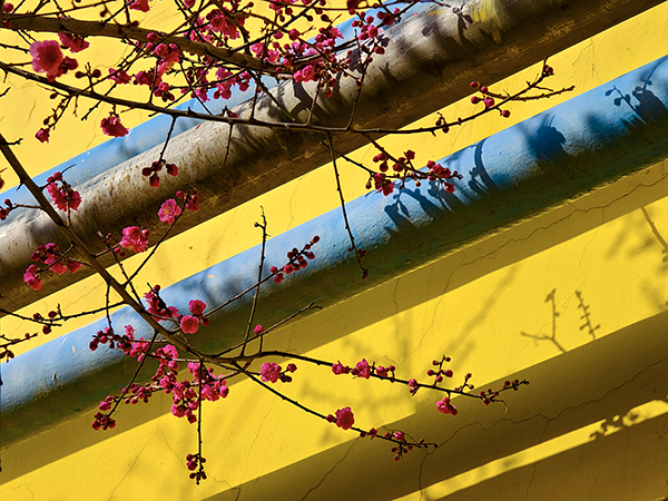 1710139540813491.jpeg 8 600.jpg