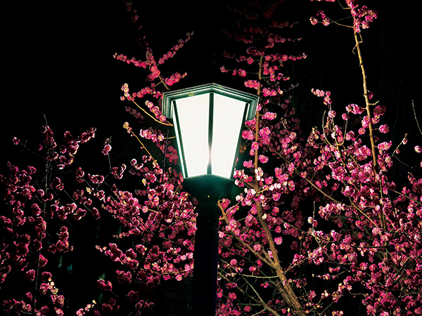 1711015254715606.jpeg 7 600.jpg