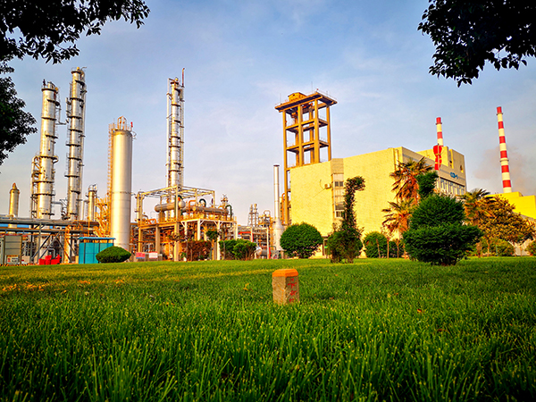 1713766445747282.jpeg dcafcc8539ed1195c10278b2ba40add.jpg