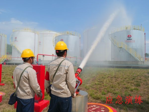 1719529036158603.jpeg 9d569743dac24e6c70bbcd18838fc44.jpg