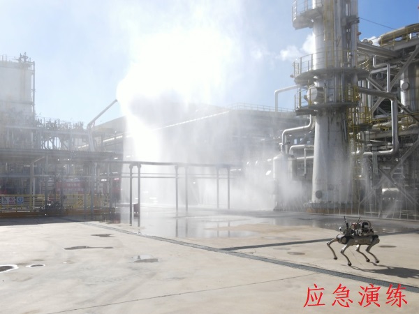 1733390144656575.jpeg 咸陽(yáng)市2024年應(yīng)急演練1.jpg