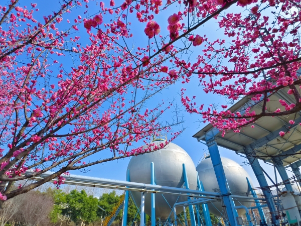 121741758795163962.jpg 微信圖片_20250311083033.jpg