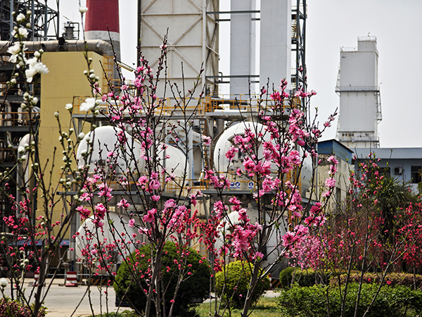 配圖2 (3)    600.jpg