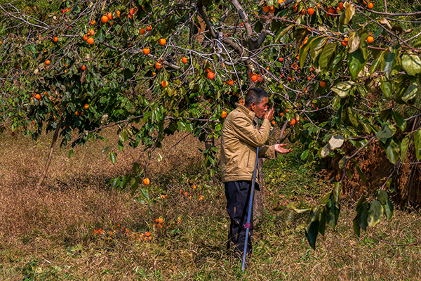 291761734598203106.jpg 4E8A7312 副圖.jpg