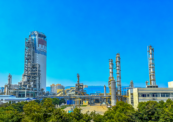 廠區(qū)照片1  600.jpg